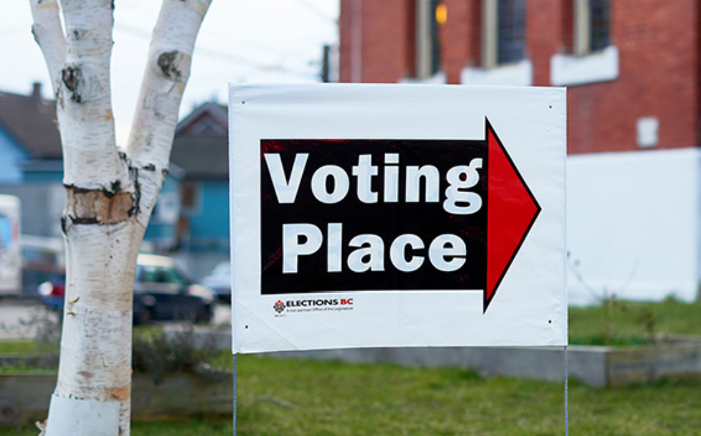 Election Periods as a Vehicle for Organized Opposition