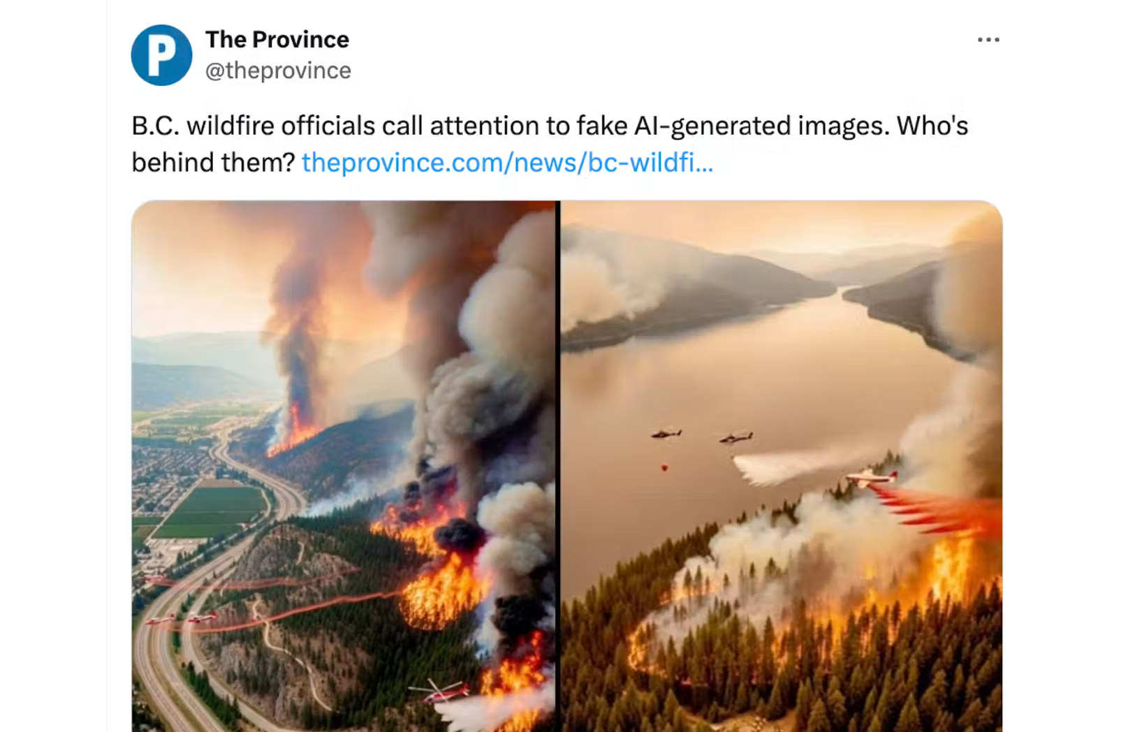 AI-Generated Imagery During Emergencies   